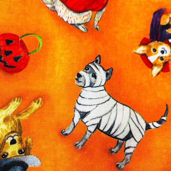 Two Medium Sized Ladies Olivia Howl-O-Ween vintage cute dog costume apron pumpkins ghosts vampires mummies wizards