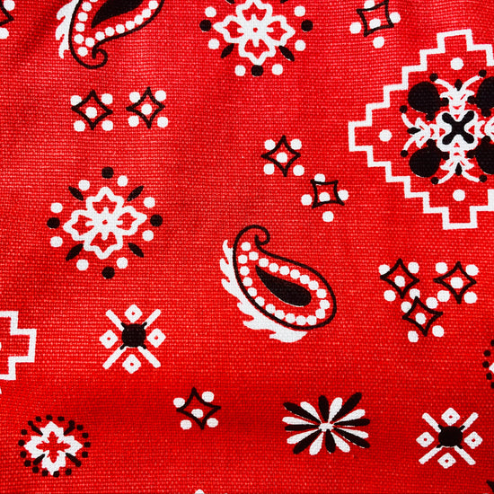 Amanda Bright Designs Montana Red Bandana Print horse lover western  print apron with webbed cotton strings and canvas pockets