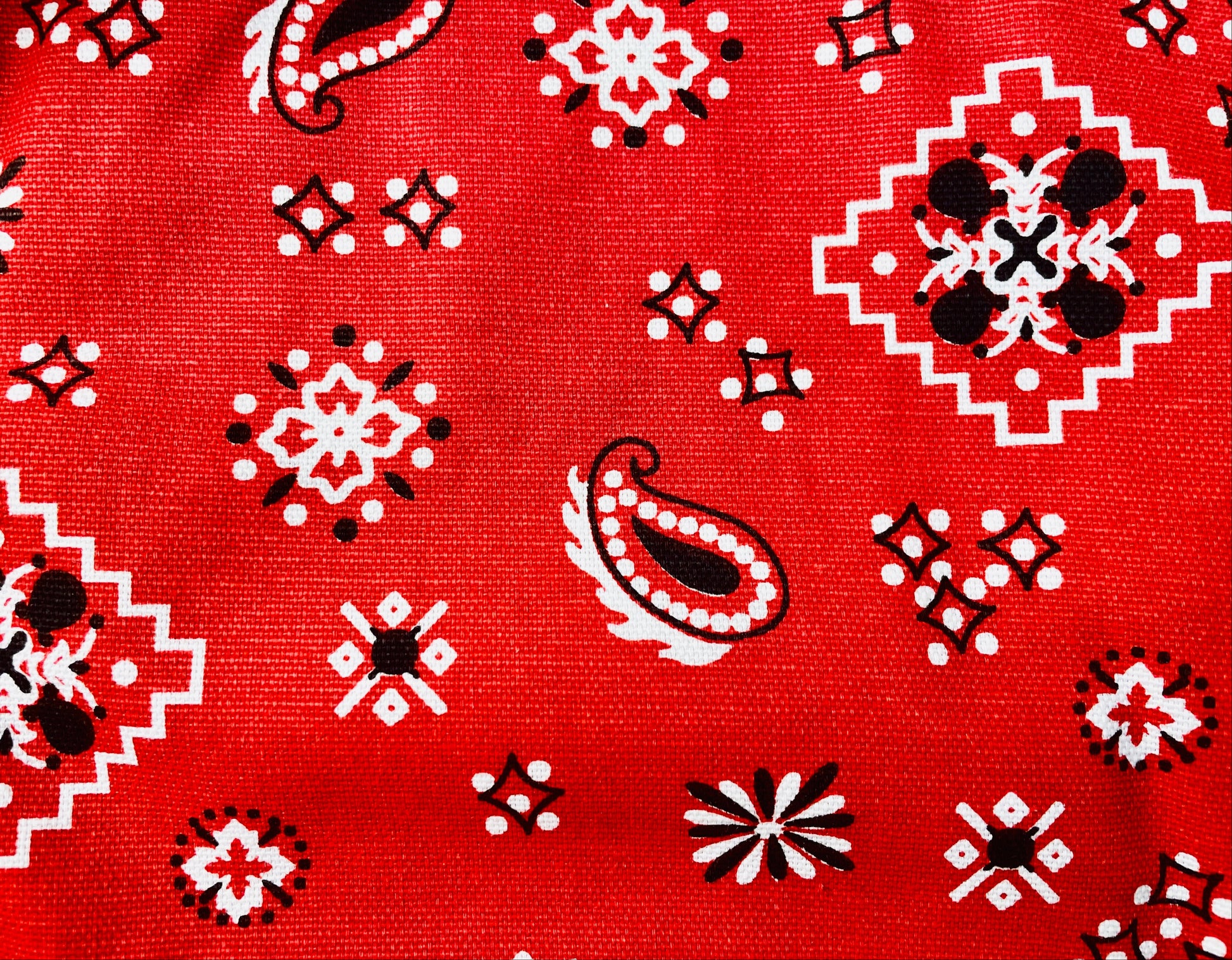 Amanda Bright Designs Montana Red Bandana Print horse lover western  print apron with webbed cotton strings and canvas pockets