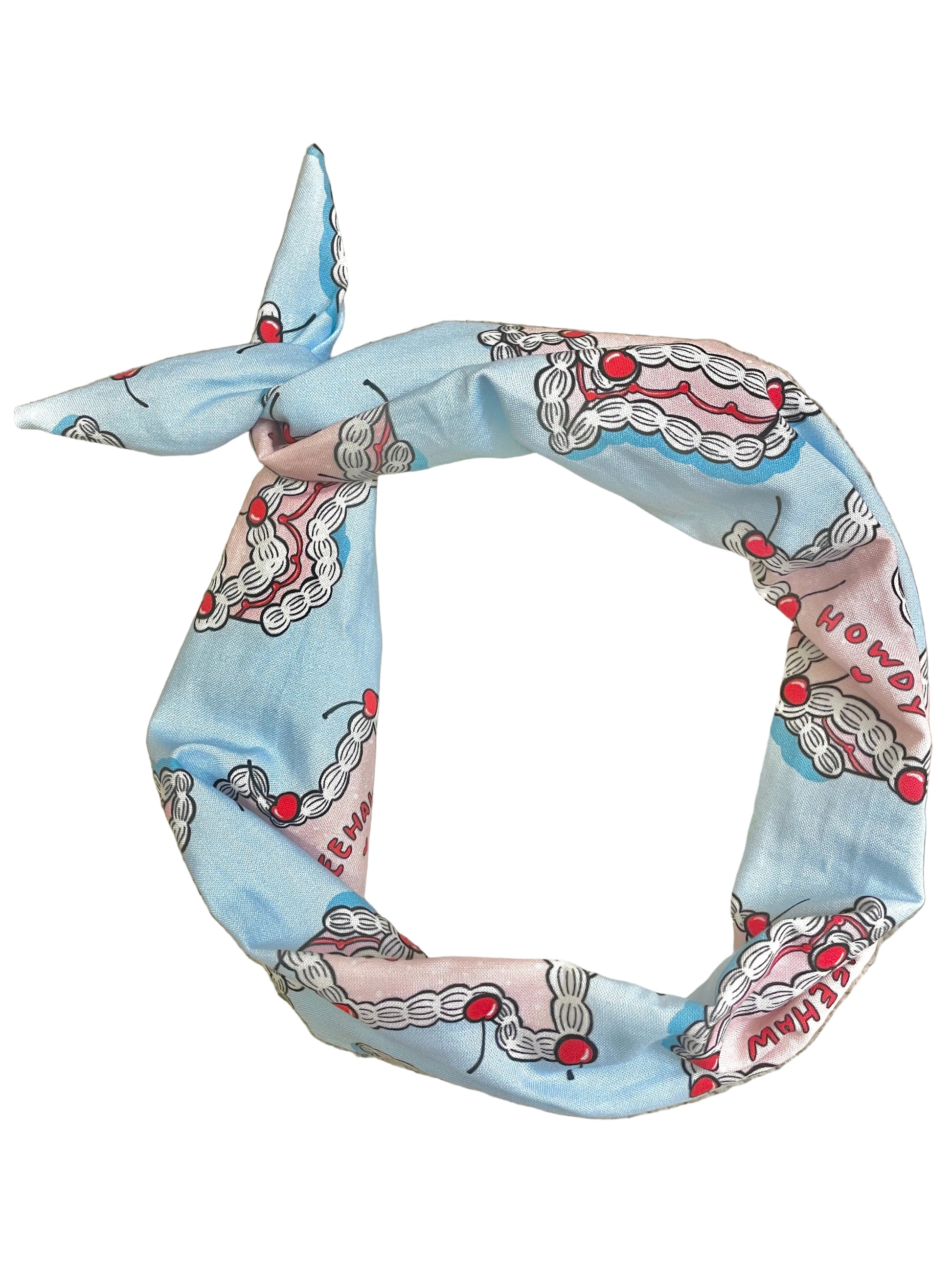 Amanda Bright Designs Texas Cake Headband for cowgirls