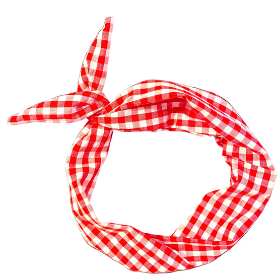 Amanda Bright Designs Red and white checkered bandana 4th of July picnic America