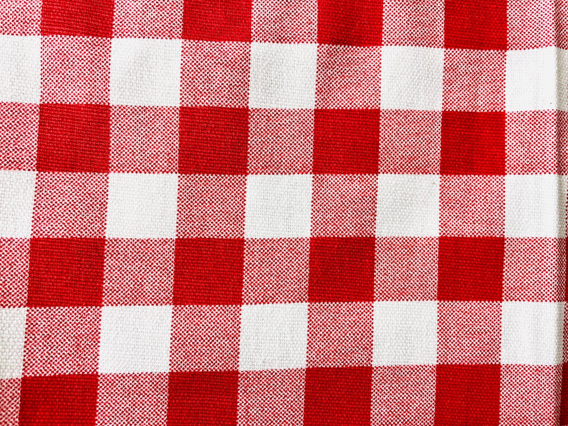 Two Medium Sized Ladies Wendy red checkered gingham apron tablecloth summer picnic Italian French bbq pattern