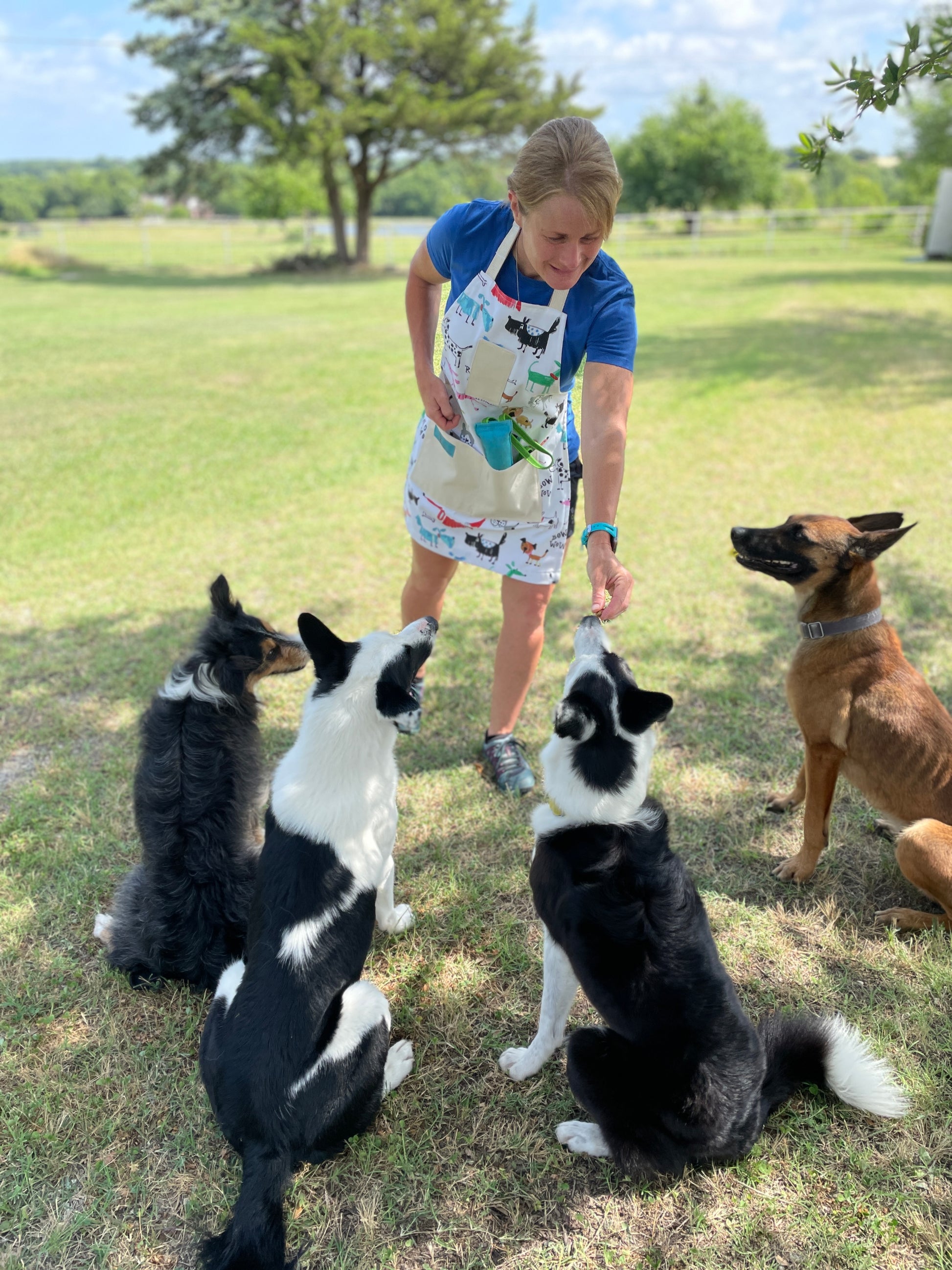 Two Medium Sized Ladies dogs sitting with owner in colorful playful dog kitchen apron Maribeth lifestyle