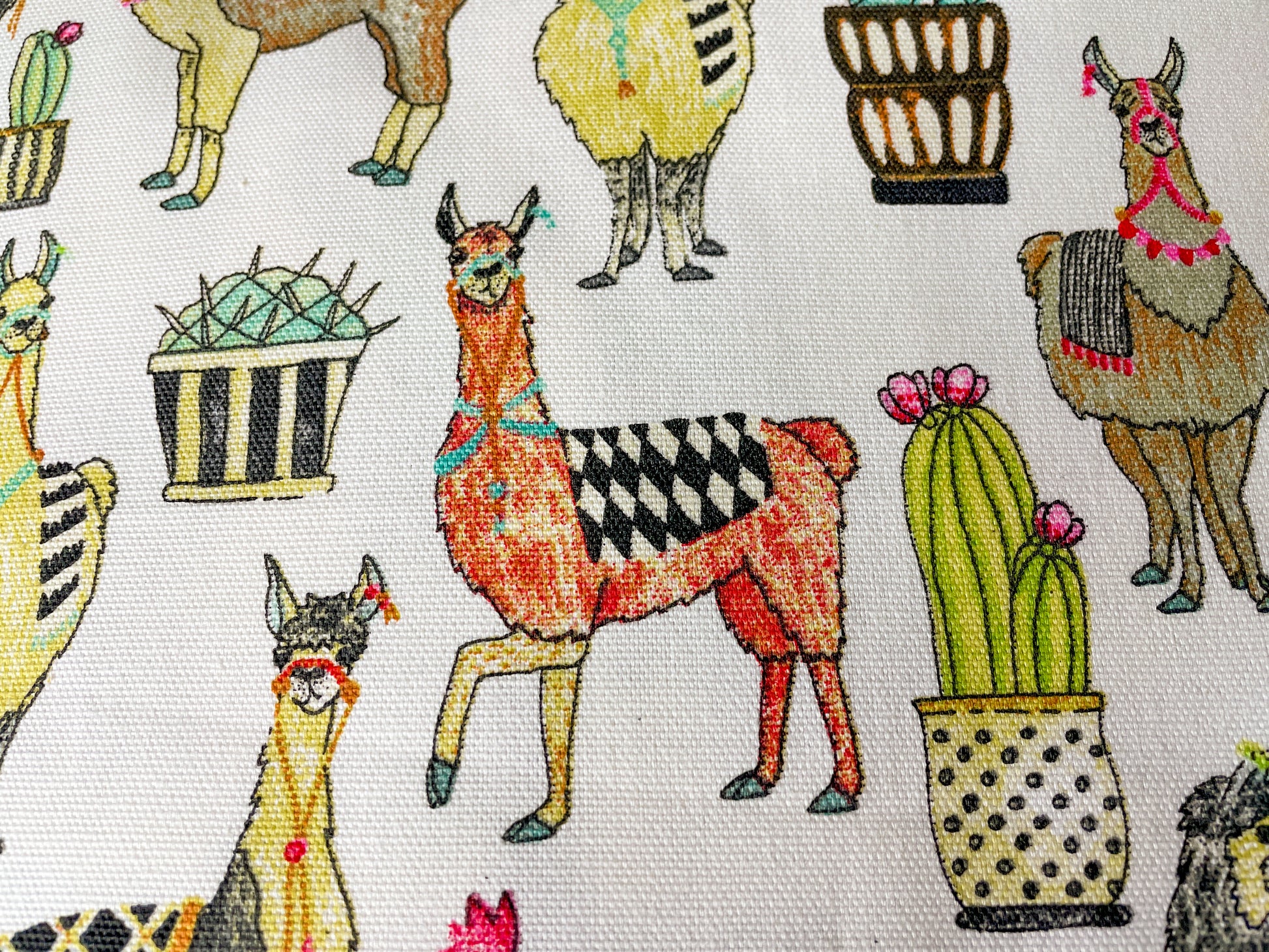 Two Medium Sized Ladies colorful llama apron pattern Isabella