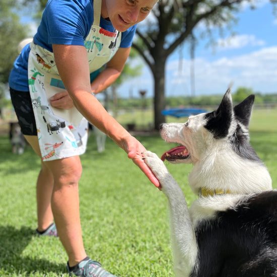 Maribeth Dog Lovers Apron Agility Trainer Doing Tricks with Border Collie wearing apron