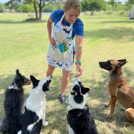 dogs sitting with owner in colorful playful dog kitchen apron Maribeth lifestyle